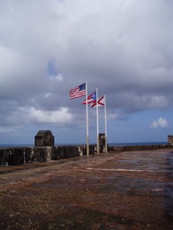 P1010146